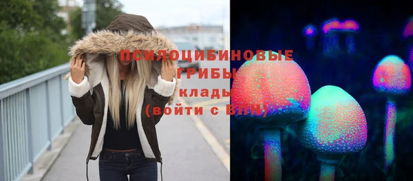 бошки Нягань