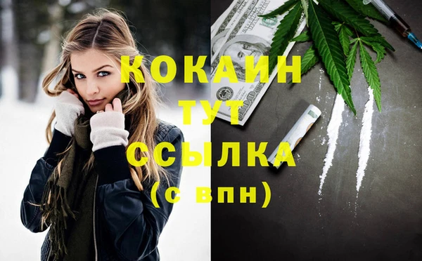 эйфоретик Новозыбков