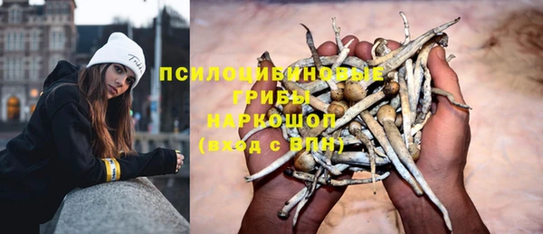 бошки Нягань