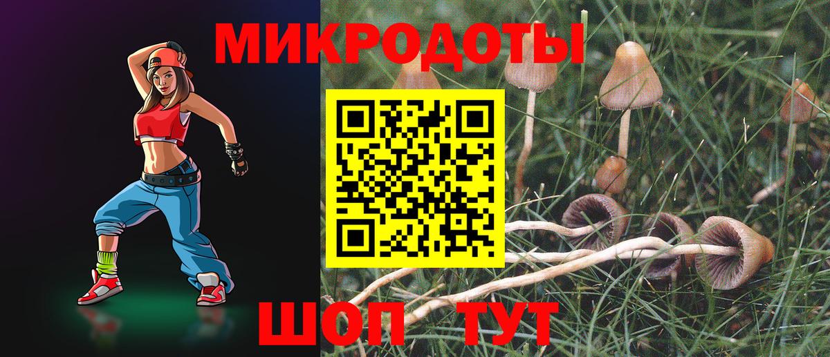 Псилоцибиновые грибы мухоморы  Старая Русса 