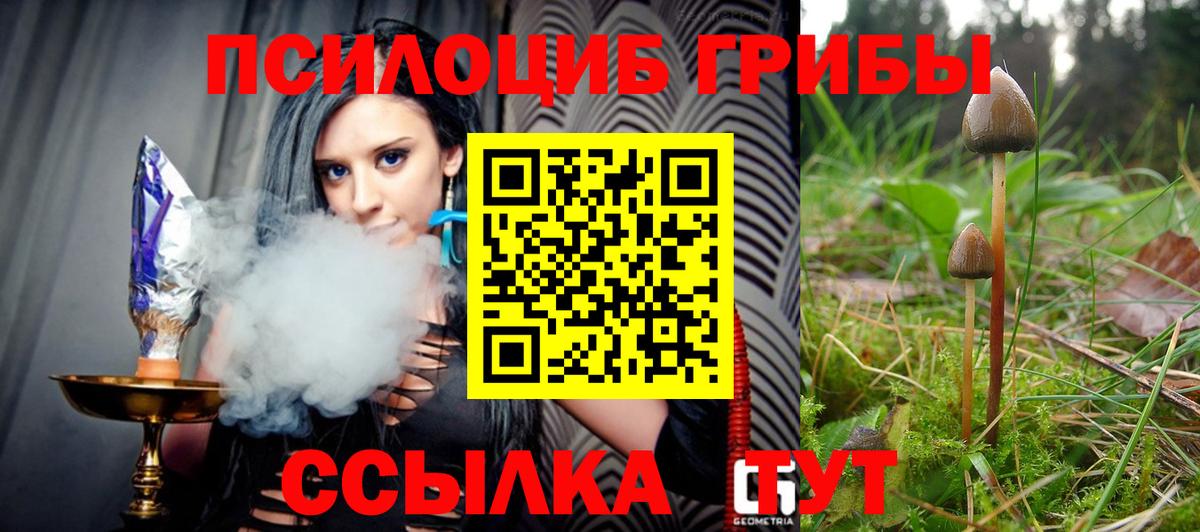 Старая Русса  Псилоцибиновые грибы GOLDEN TEACHER  как найти закладки  Вход с VPN 